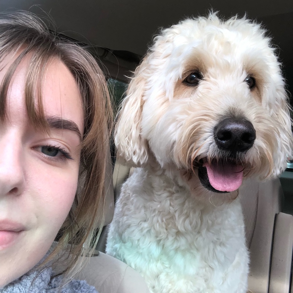 Meet your Posher, Emily